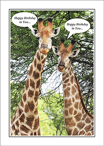 Happy-Birthday-Images-giraffes