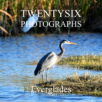 _DSC7763-99360-front-cover-Everglades-V2-web